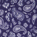 Шкурка для скейтборда dipGRIP Paisley Violet